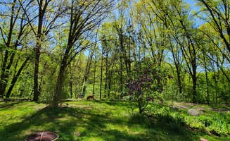 John W.'s photo of camping with pets at Camp Clear Sky near Grand Rapids, MI