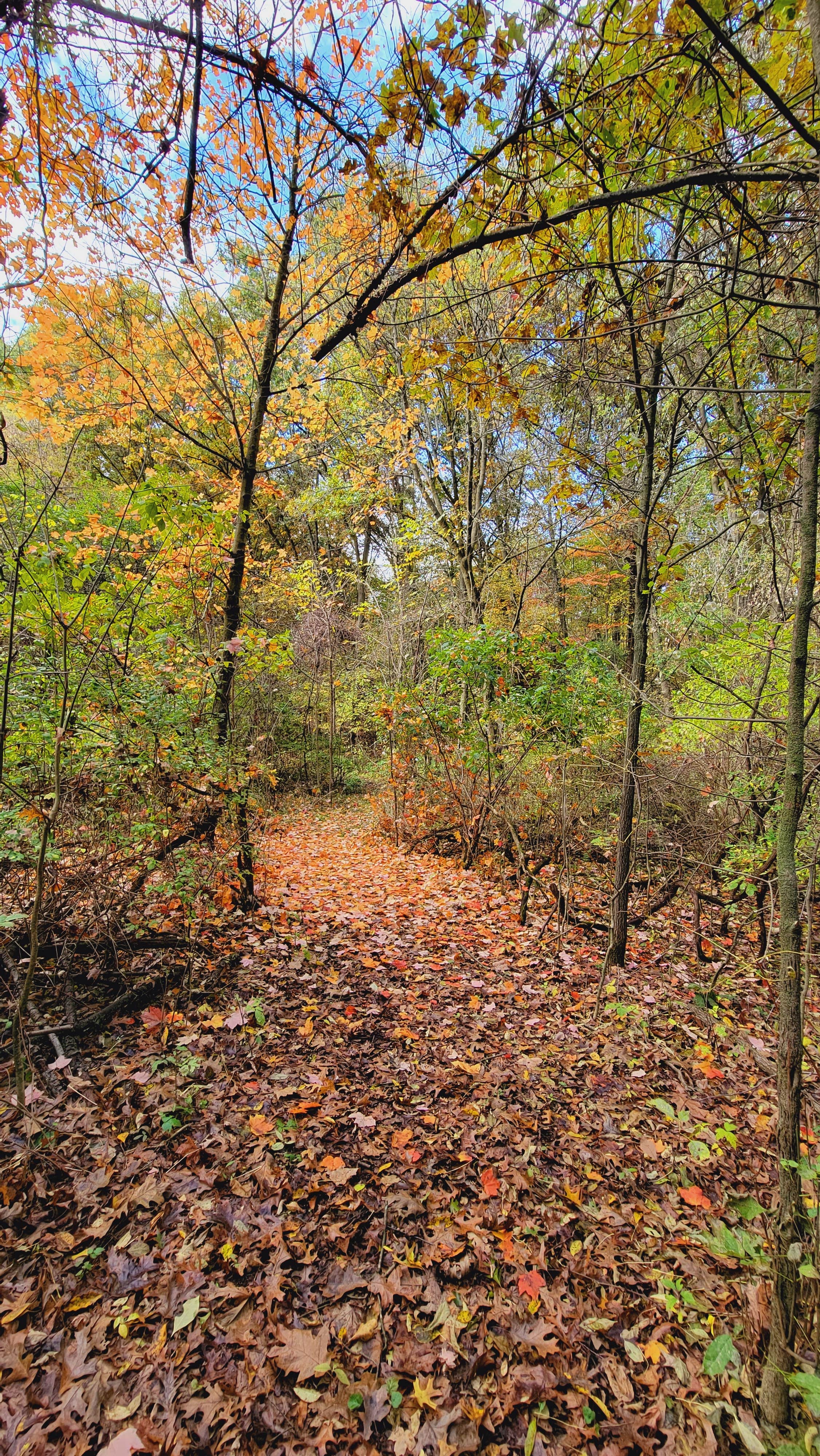 Camper-submitted photo at Camp Clear Sky near Charlotte, MI