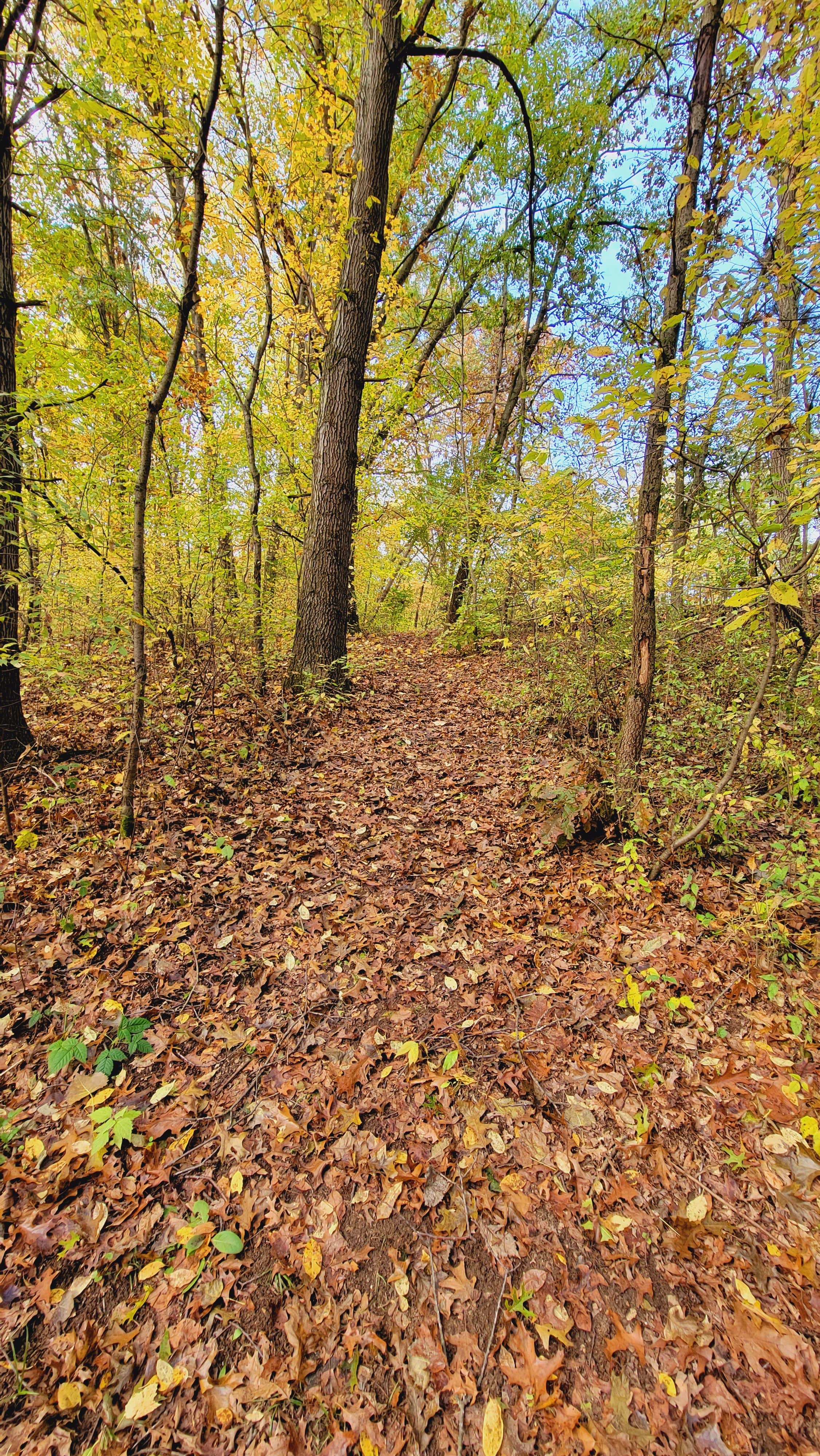 Camper-submitted photo at Camp Clear Sky near Charlotte, MI