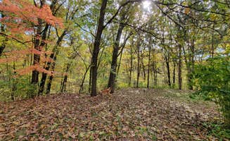 John W.'s photo of camping with pets at Camp Clear Sky near Hickory Corners, MI