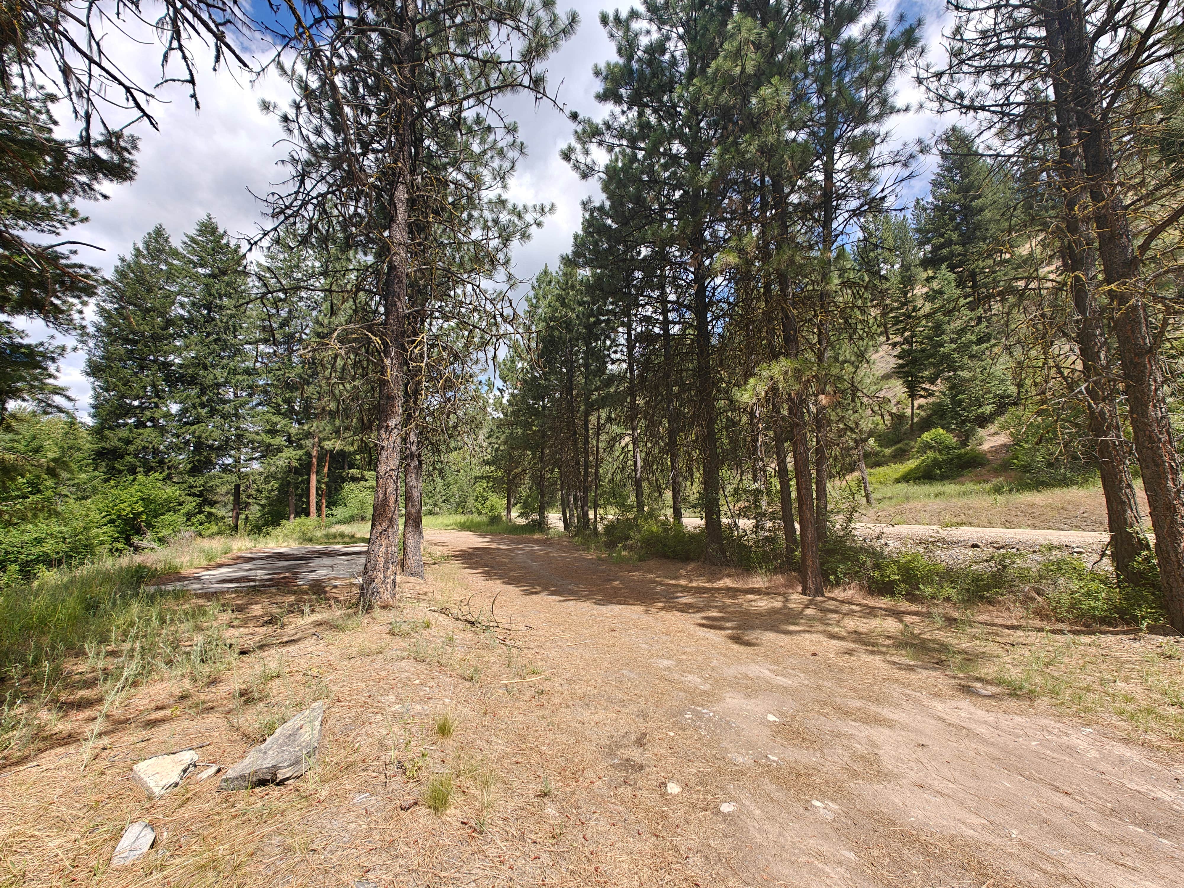 Camper submitted image from Informal Dispersed Campsite at Fish Creek Properties Montana State Park - 3