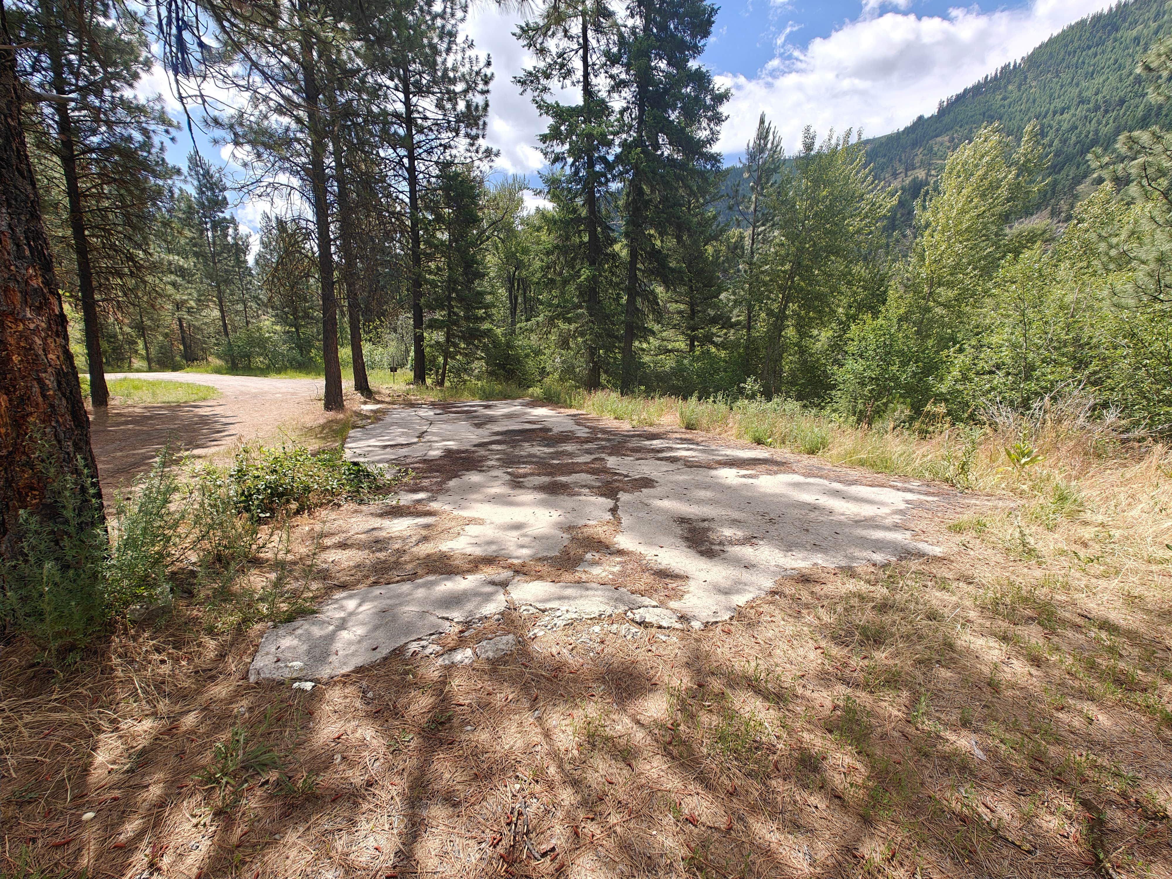 Camper submitted image from Informal Dispersed Campsite at Fish Creek Properties Montana State Park - 2