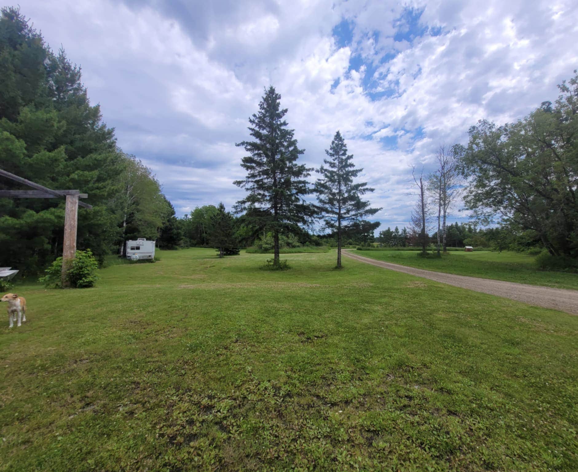 Brian H.'s photo of camping with pets at Iron Range Growers LLC near Virginia, MN