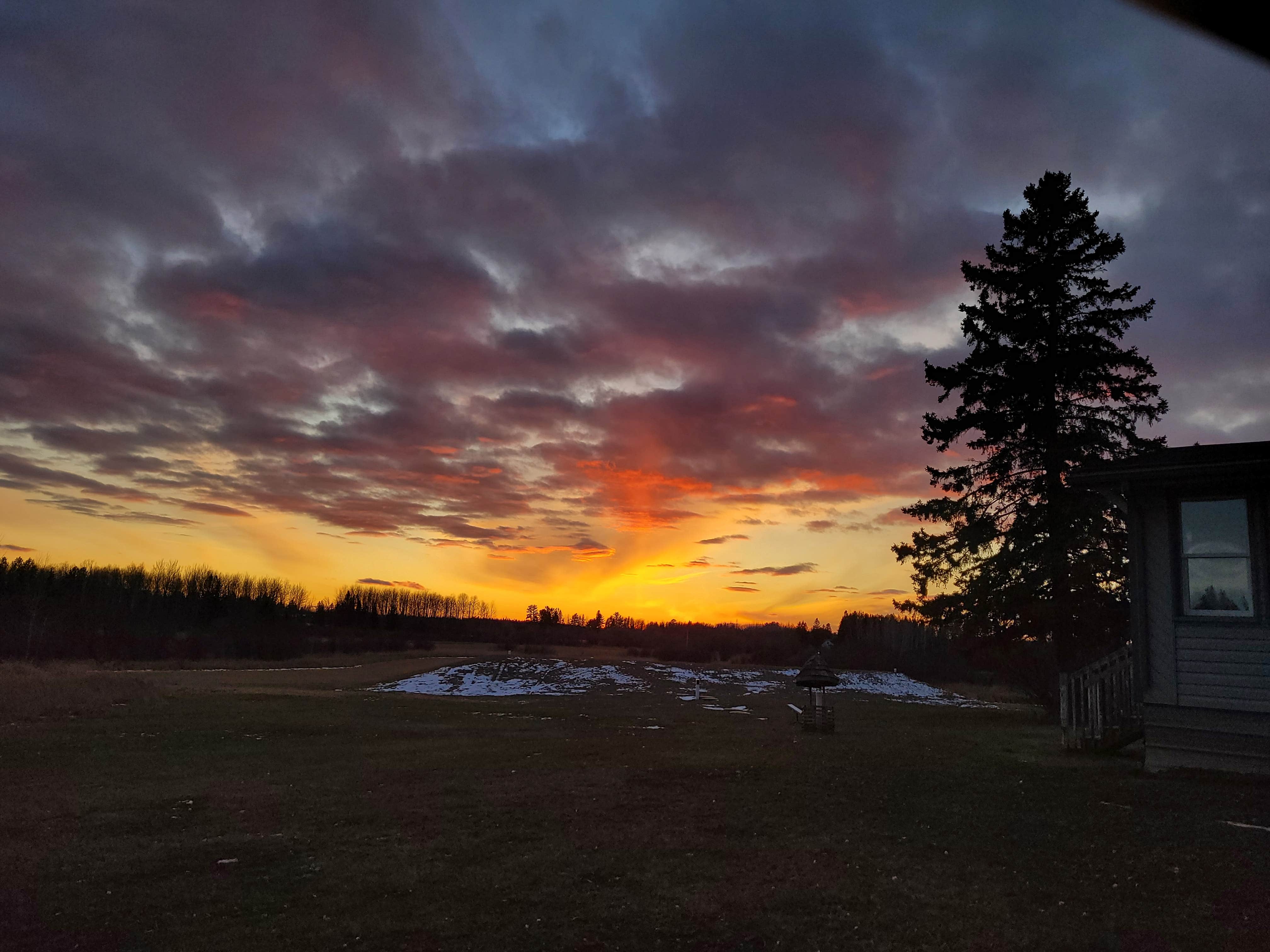 Camping near Stony Brook Horse Campground: Iron Range Growers LLC, Orr, Minnesota