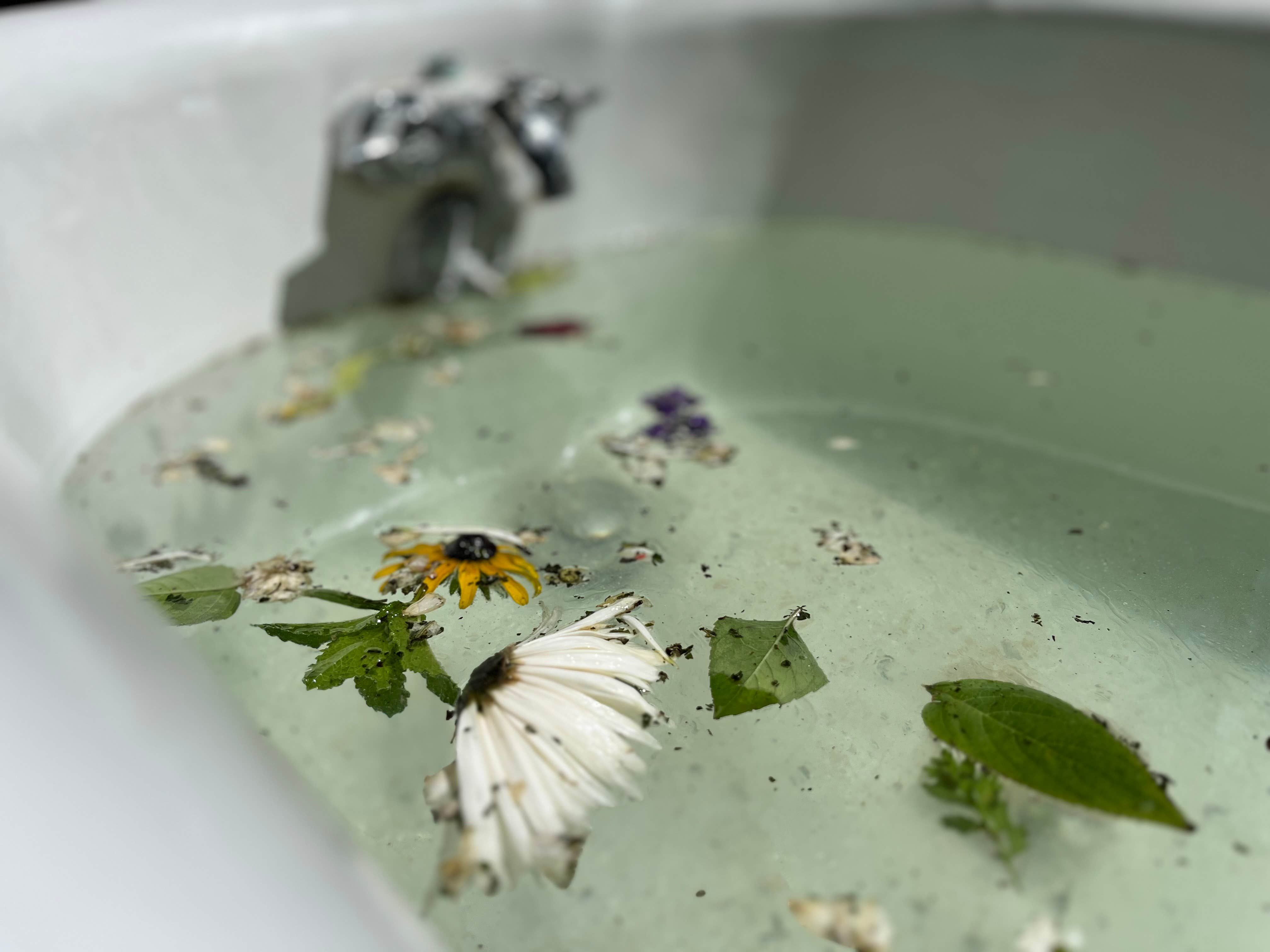 Camper-submitted photo at Inntirety Healing Center - Forest Retreat & Glamping Center near Olathe, KS