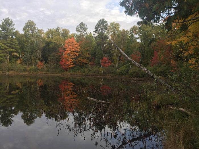 Camper submitted image from Twin Lakes NF Campground - 2