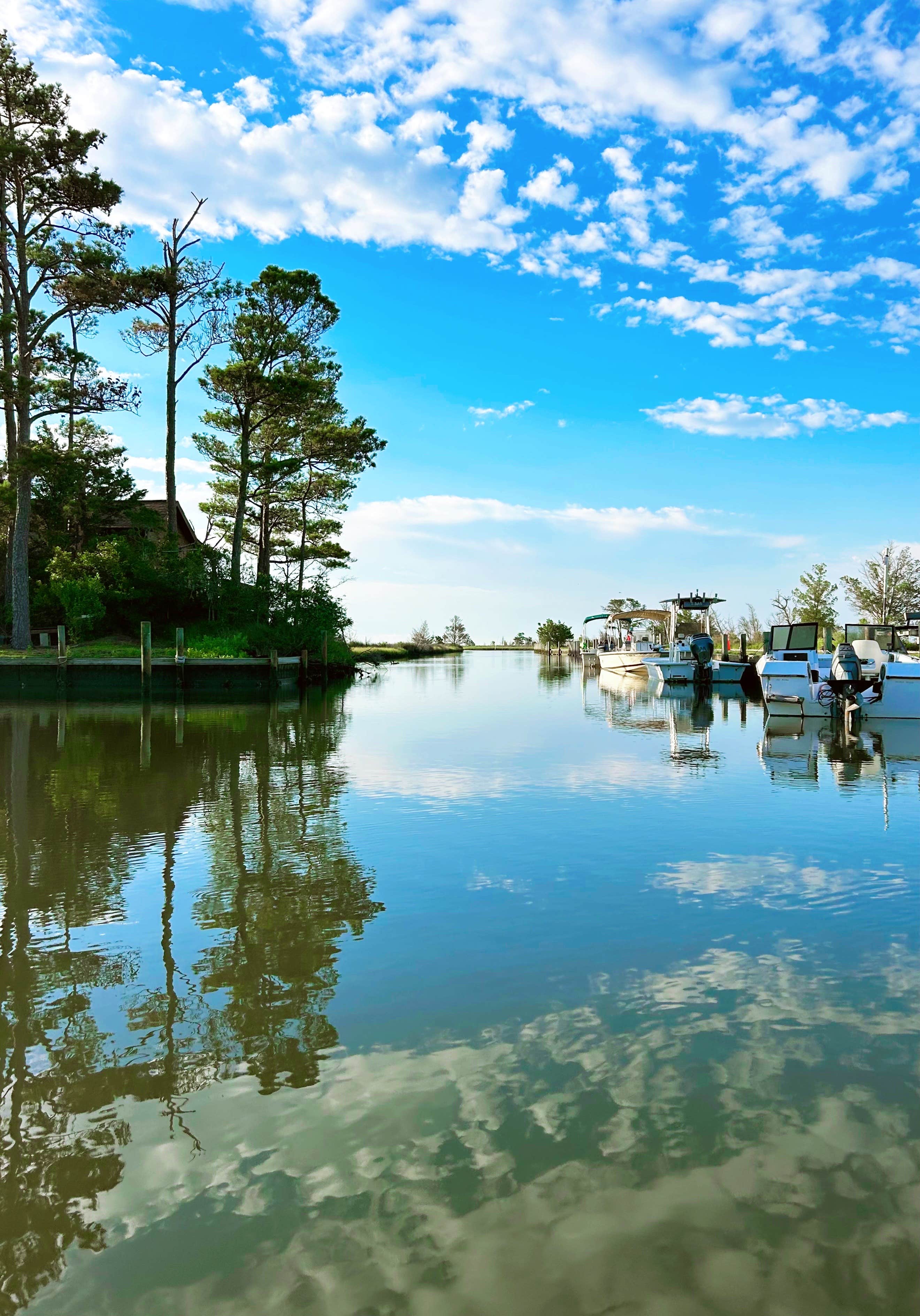 Camper-submitted photo at Cedar Creek Campground & Marina near Gloucester, NC