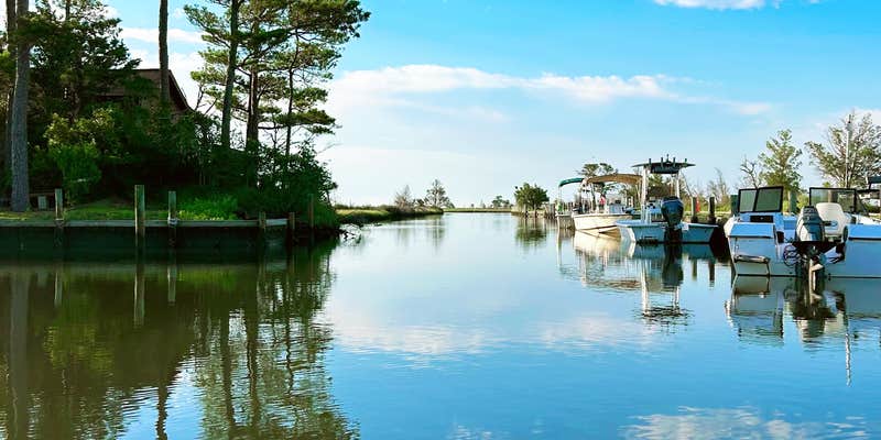 Camper submitted image from Cedar Creek Campground & Marina