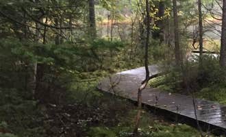 Camping near Sandy Beach Lake Campground — Northern Highland State Forest: Twin Lakes NF Campground, Lac du Flambeau, Wisconsin