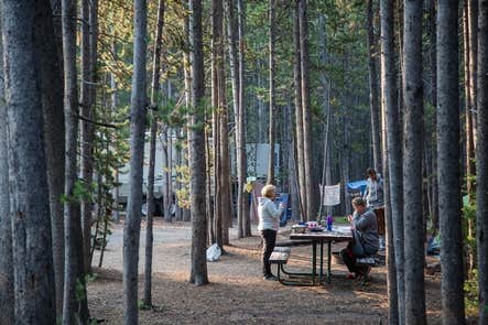 Canyon Campground — Yellowstone National Park