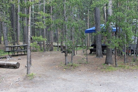 Camper submitted image from Canyon Campground — Yellowstone National Park - 1