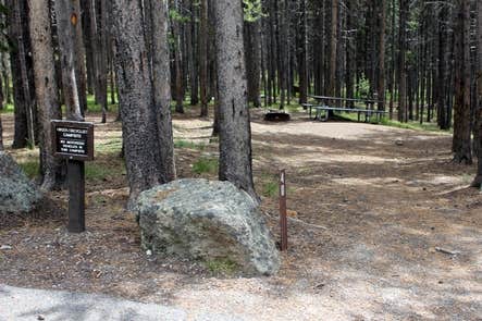 Camper-submitted photo at Canyon Campground — Yellowstone National Park near Yellowstone National Park