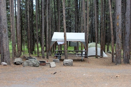 Camper submitted image from Canyon Campground — Yellowstone National Park - 4