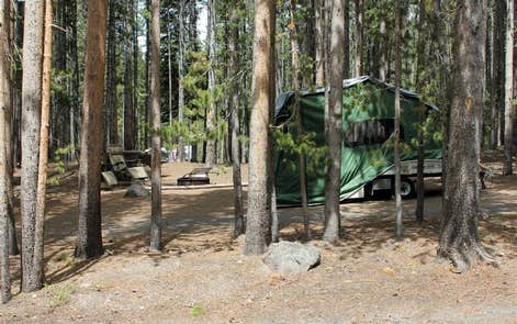 Camper submitted image from Canyon Campground — Yellowstone National Park - 2