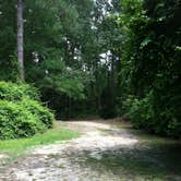 Review photo of Cliffs of the Neuse State Park Campground by Chip G., March 27, 2015