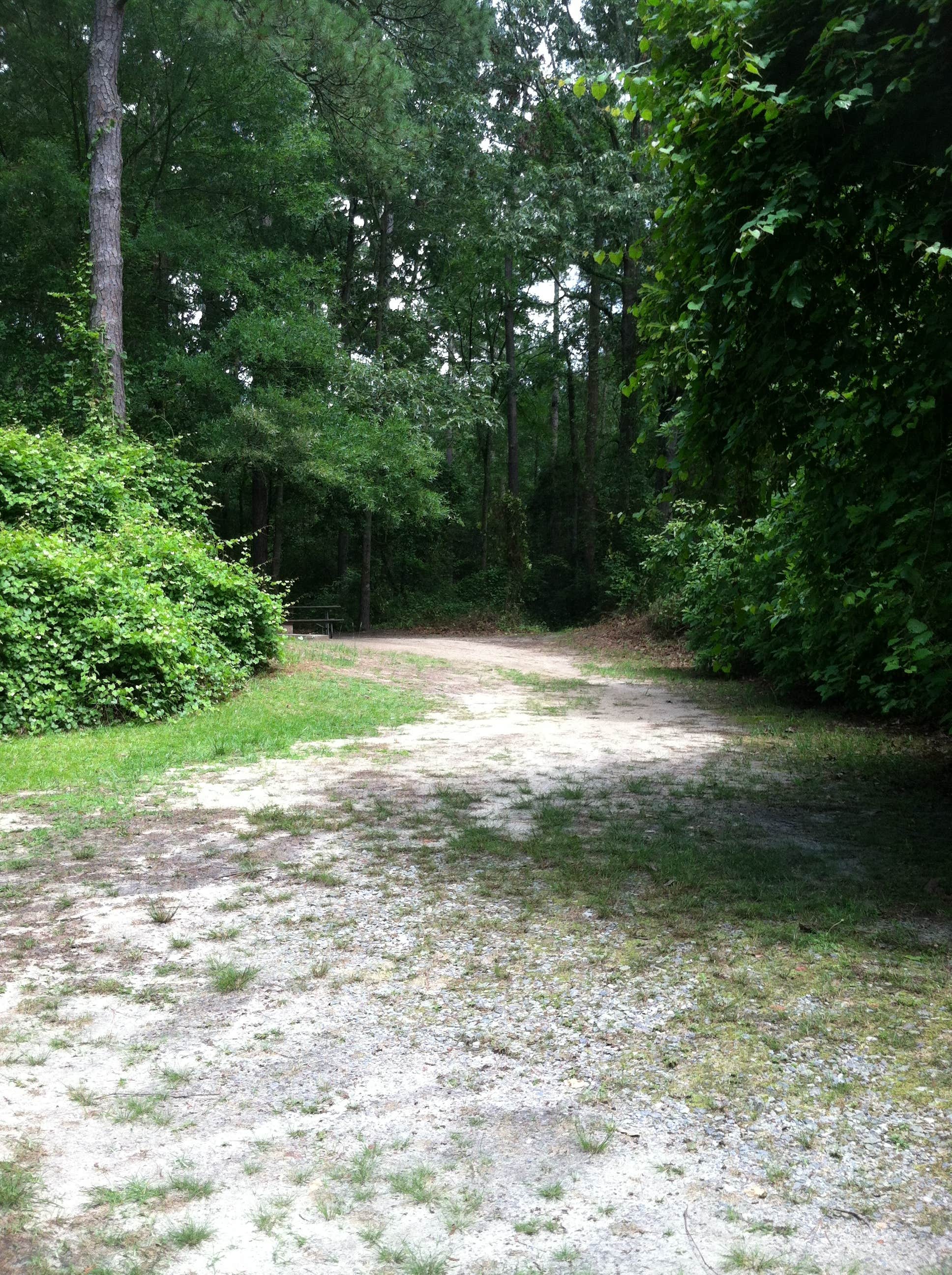 Camper submitted image from Cliffs of the Neuse State Park Campground - 2