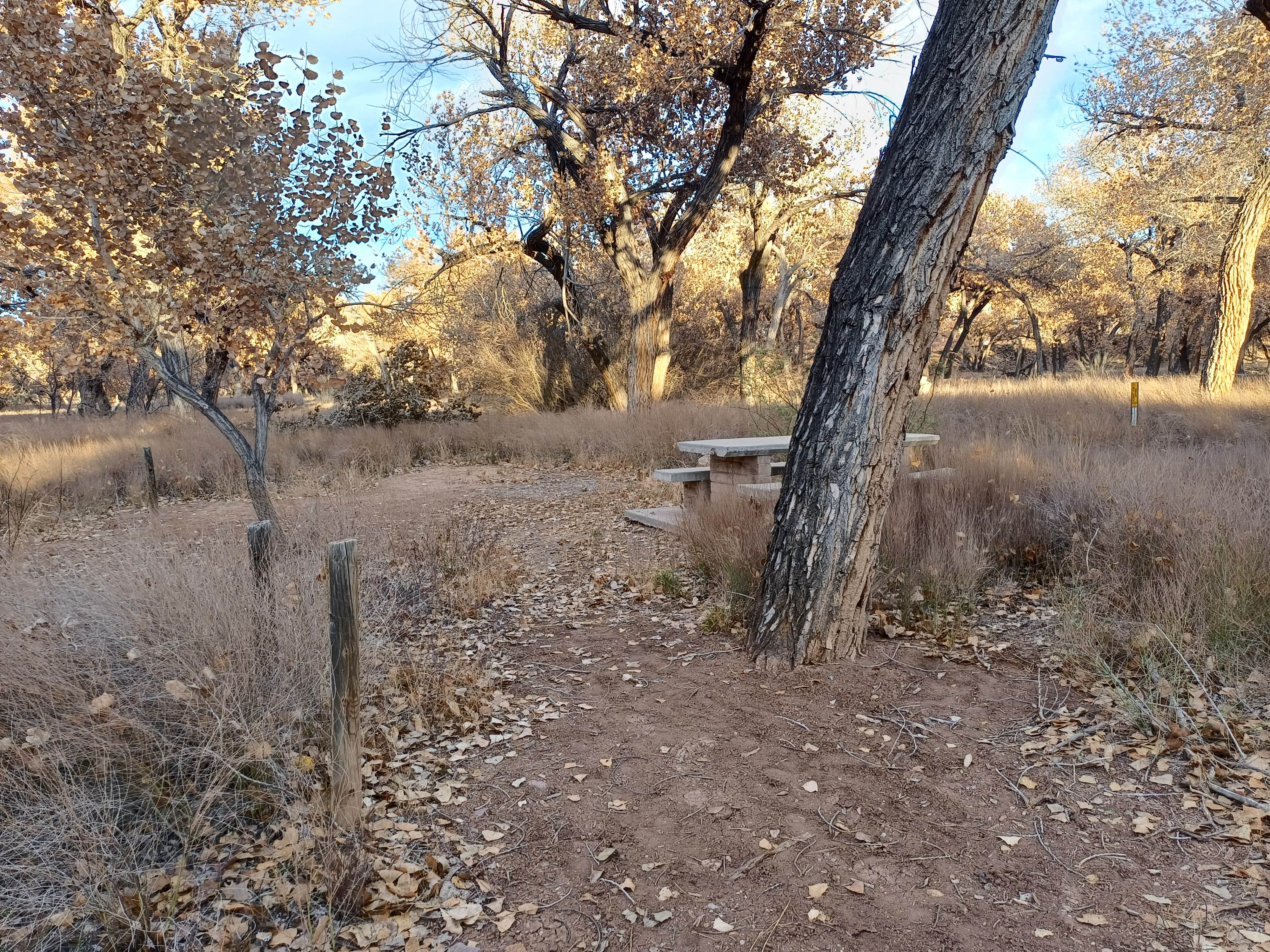 Camper submitted image from San Antonio Riverine Park - 4