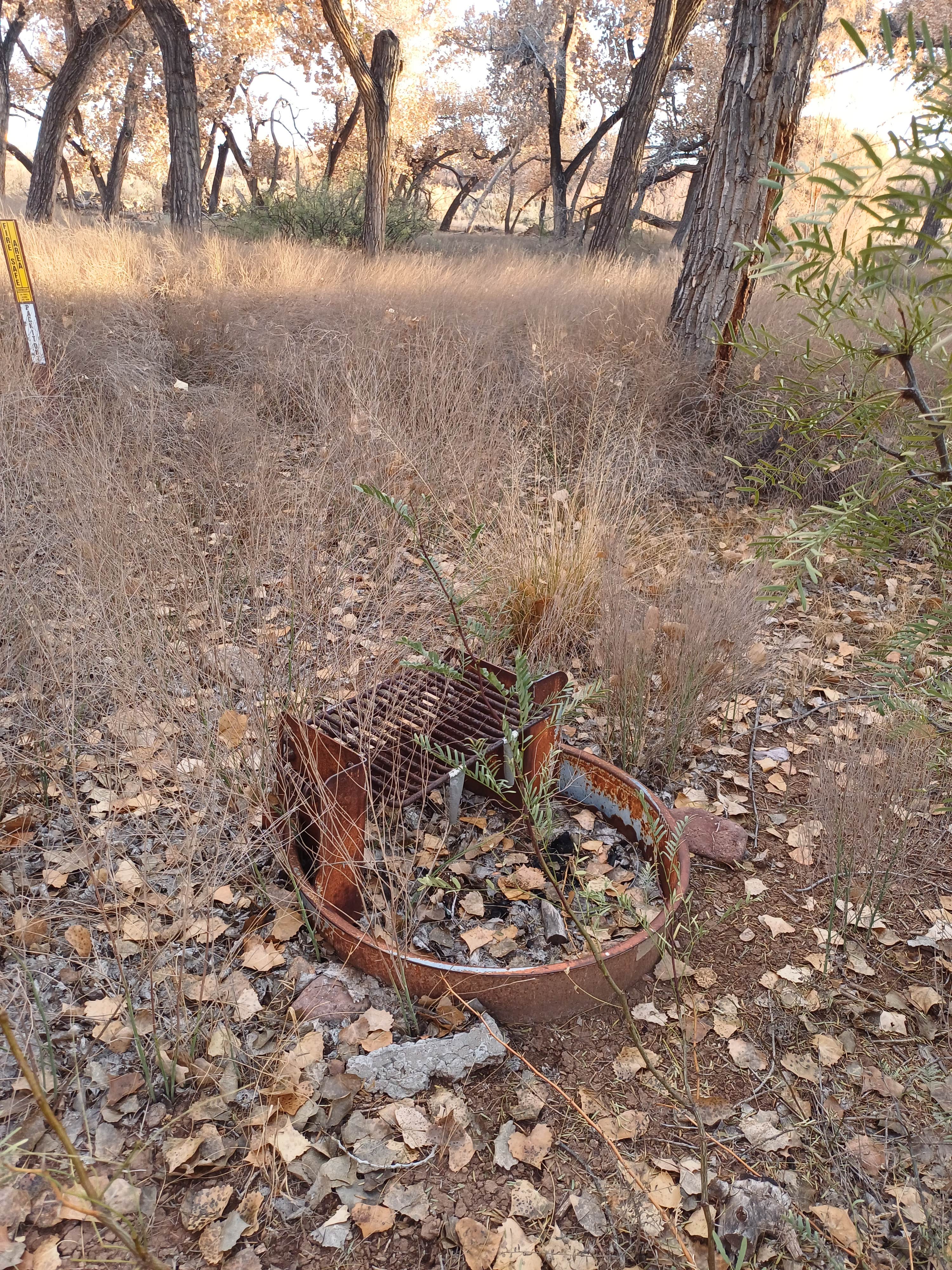 Camper-submitted photo at San Antonio Riverine Park near San Acacia, NM