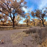 Review photo of San Antonio Riverine Park by Laura M., July 2, 2024