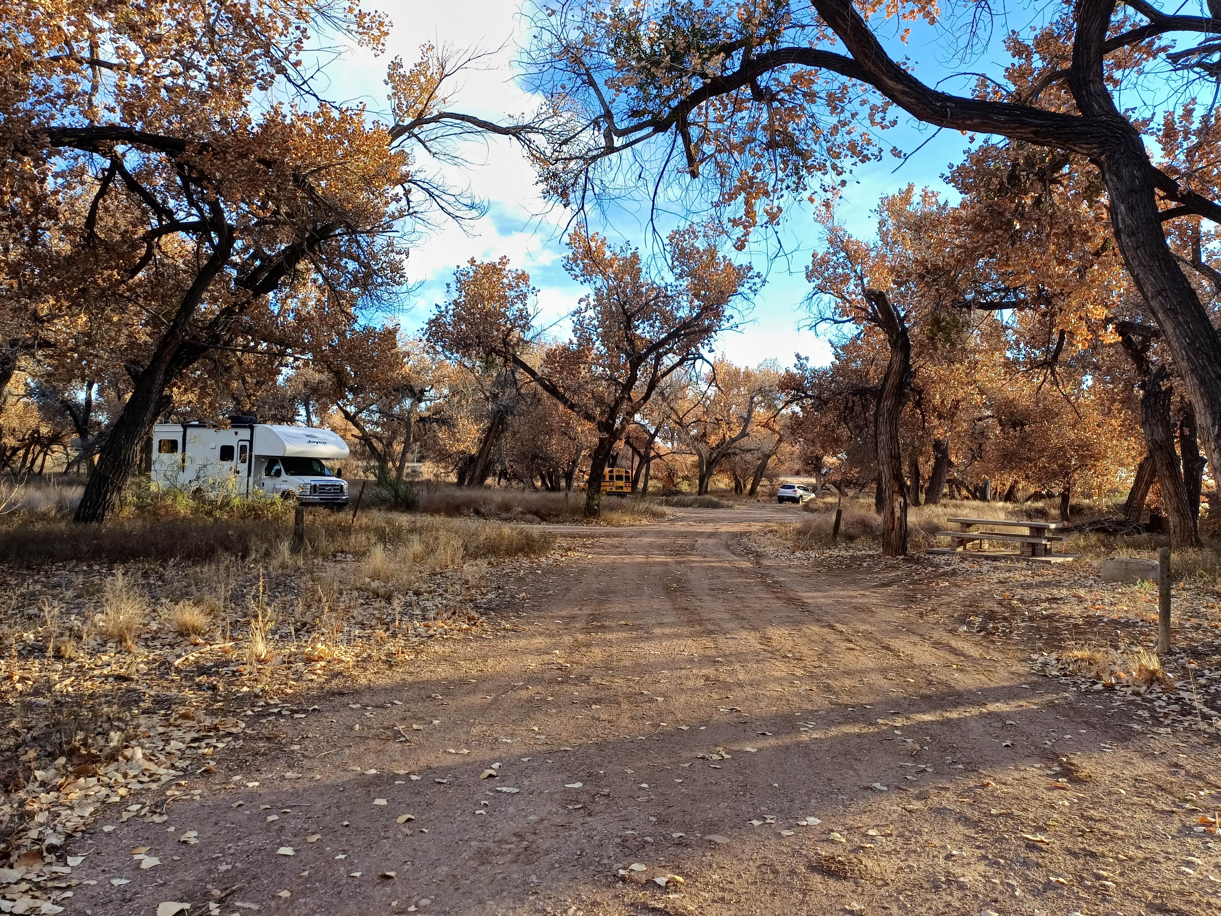 Laura M.'s photo of rv camping at San Antonio Riverine Park near Polvadera, NM