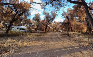 Laura M.'s photo of rv camping at San Antonio Riverine Park near Magdalena, NM