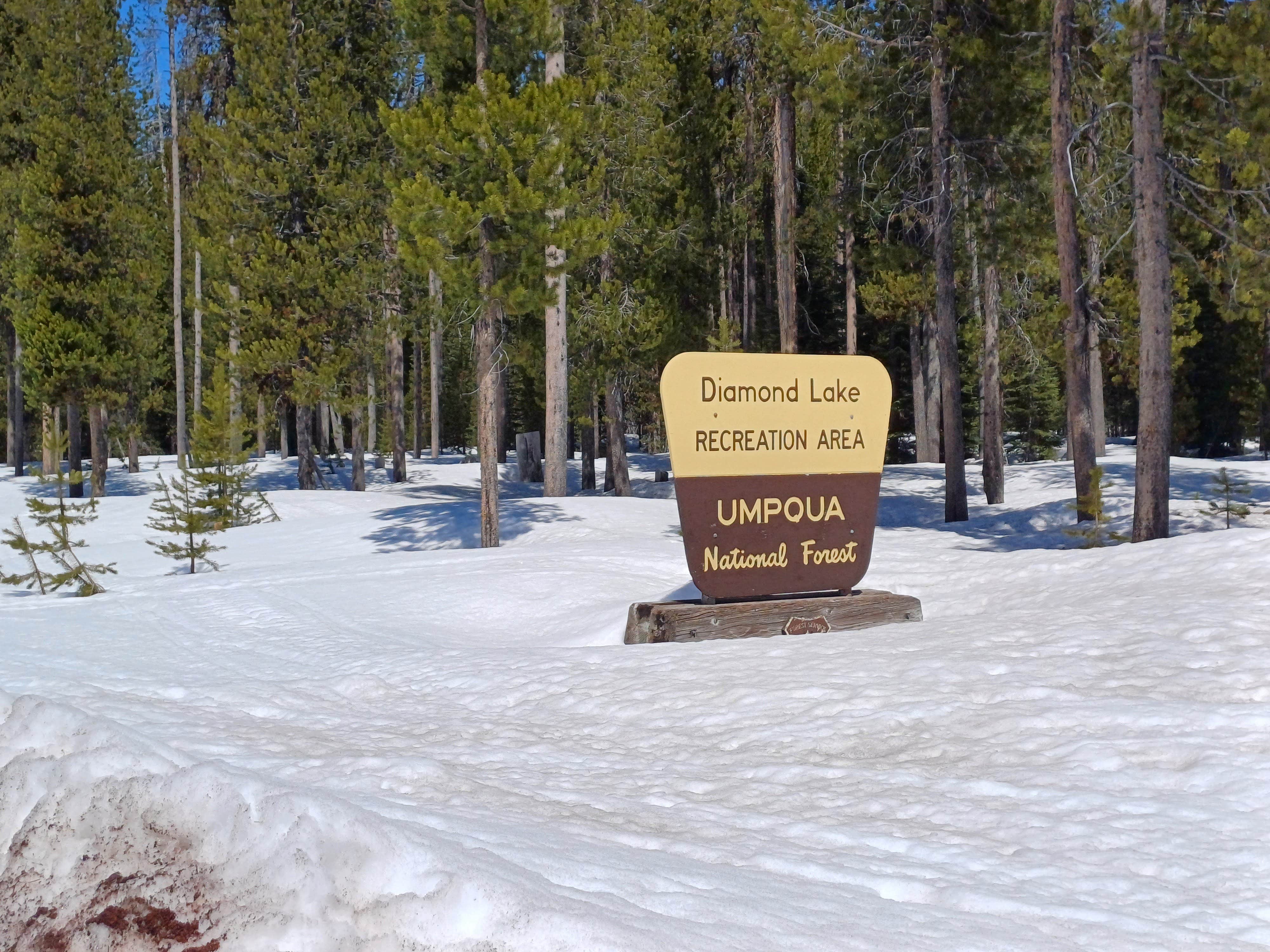 Camper-submitted photo at South Diamond Sno-Park near Clearwater, OR