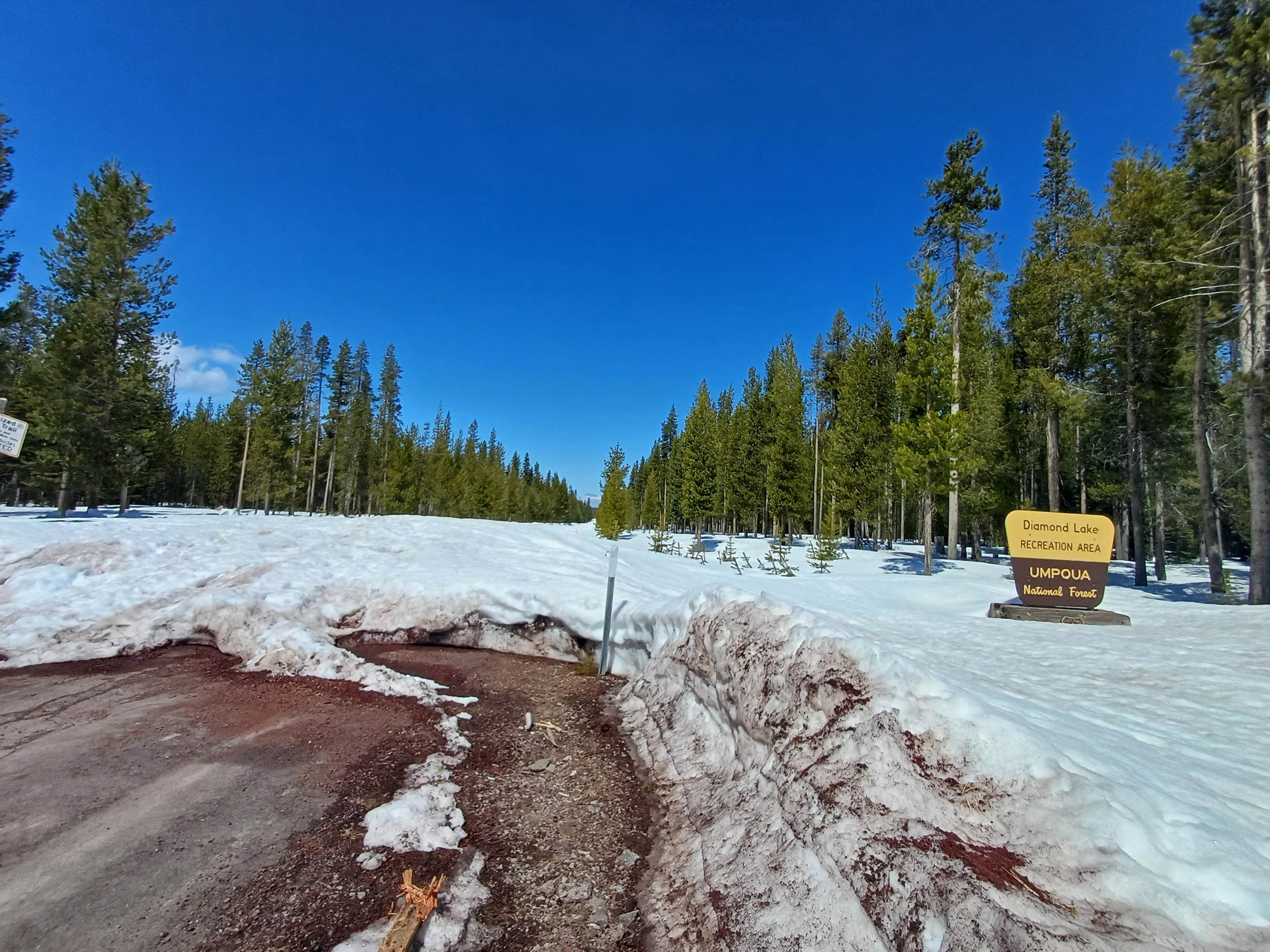 Camper-submitted photo at South Diamond Sno-Park near Clearwater, OR