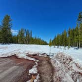 Review photo of South Diamond Sno-Park by Laura M., July 2, 2024