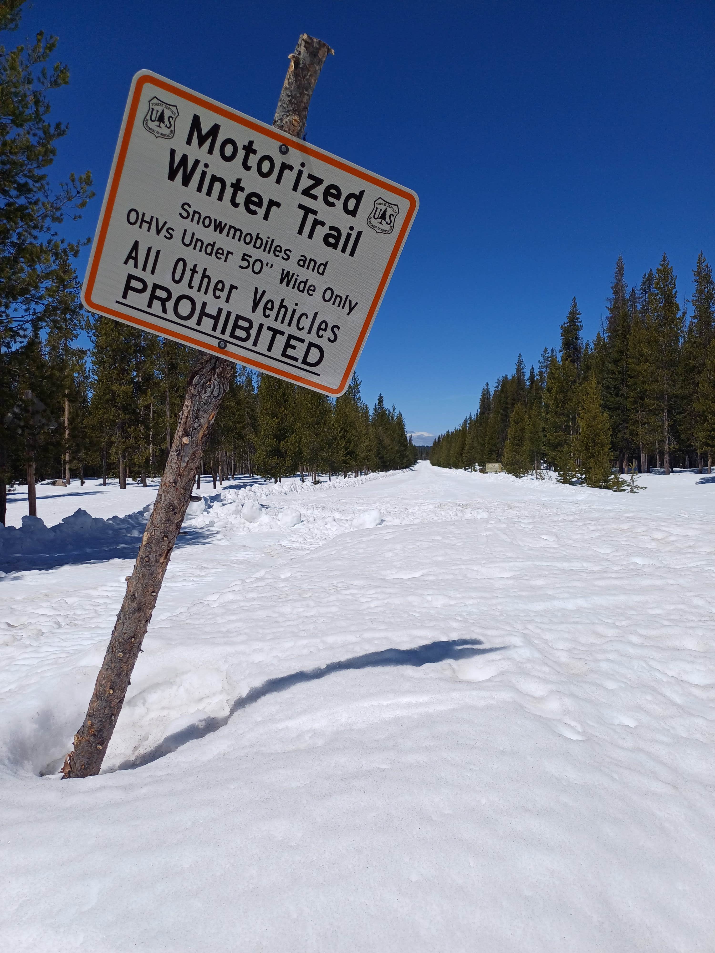 Camper-submitted photo at South Diamond Sno-Park near Clearwater, OR