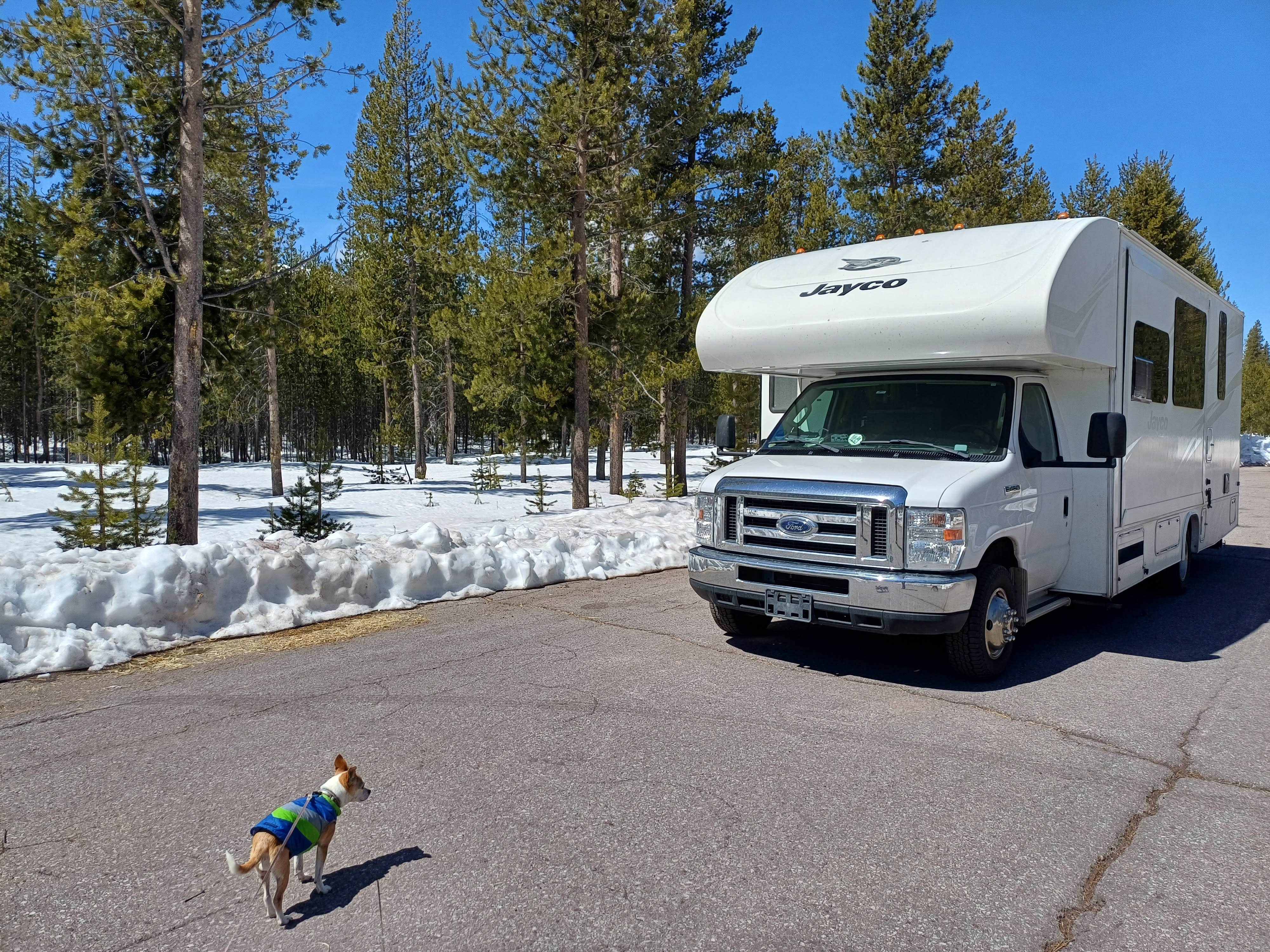 Camping near Broken Arrow Campground: South Diamond Sno-Park, Diamond Lake, Oregon