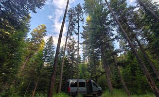 Joshua C.'s photo at Lolo Creek Campground near Frenchtown, MT