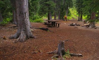Camping near Stump Creek Guard Station: Cottonwood Group Campsite, Smoot, Wyoming