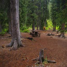 Cottonwood Group Campsite