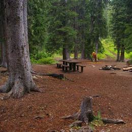 Public Campgrounds: Cottonwood Group Campsite