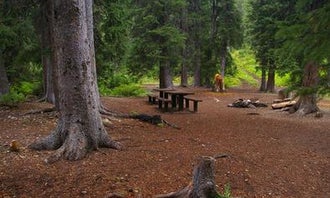 Camping near Lake Alice: Cottonwood Group Campsite, Smoot, Wyoming