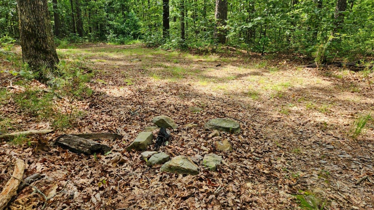 Austin Trailhead Dispersed photo 4