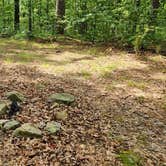 Review photo of Austin Trailhead Dispersed, Wilderness Trail Rd, Ozark NF, AR by Fred S., July 2, 2024