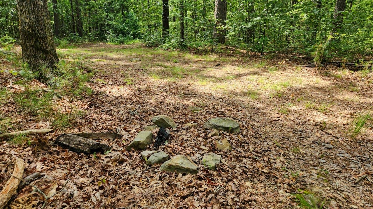 Camper submitted image from Austin Trailhead Dispersed, Wilderness Trail Rd, Ozark NF, AR - 4