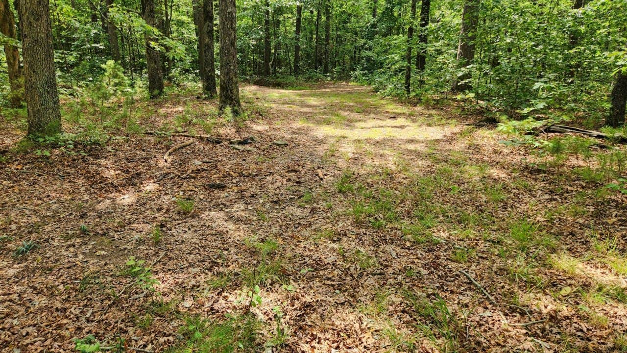 Camper-submitted photo at Austin Trailhead Dispersed, Wilderness Trail Rd, Ozark NF, AR near Cleveland, AR