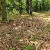 Review photo of Austin Trailhead Dispersed, Wilderness Trail Rd, Ozark NF, AR by Fred S., July 2, 2024