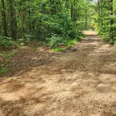 Review photo of Austin Trailhead Dispersed, Wilderness Trail Rd, Ozark NF, AR by Fred S., July 2, 2024