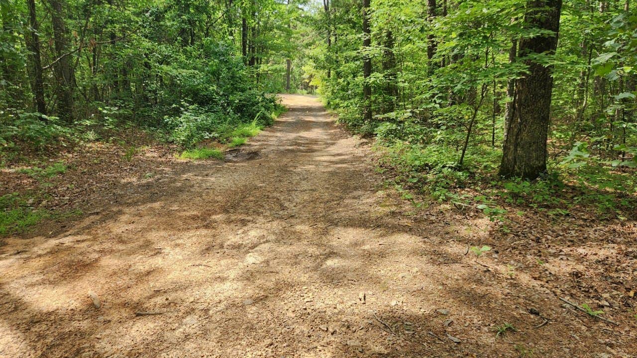 Camper submitted image from Austin Trailhead Dispersed, Wilderness Trail Rd, Ozark NF, AR - 1