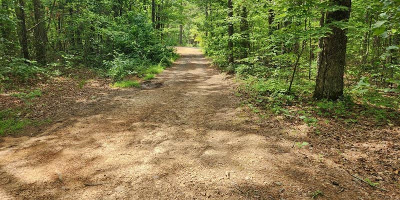 Camper submitted image from Austin Trailhead Dispersed, Wilderness Trail Rd, Ozark NF, AR