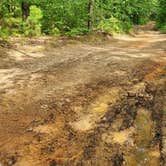 Review photo of Austin Trailhead Dispersed, Wilderness Trail Rd, Ozark NF, AR by Fred S., July 2, 2024