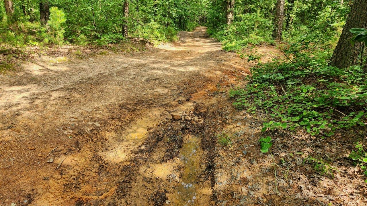 Camper submitted image from Austin Trailhead Dispersed, Wilderness Trail Rd, Ozark NF, AR - 2