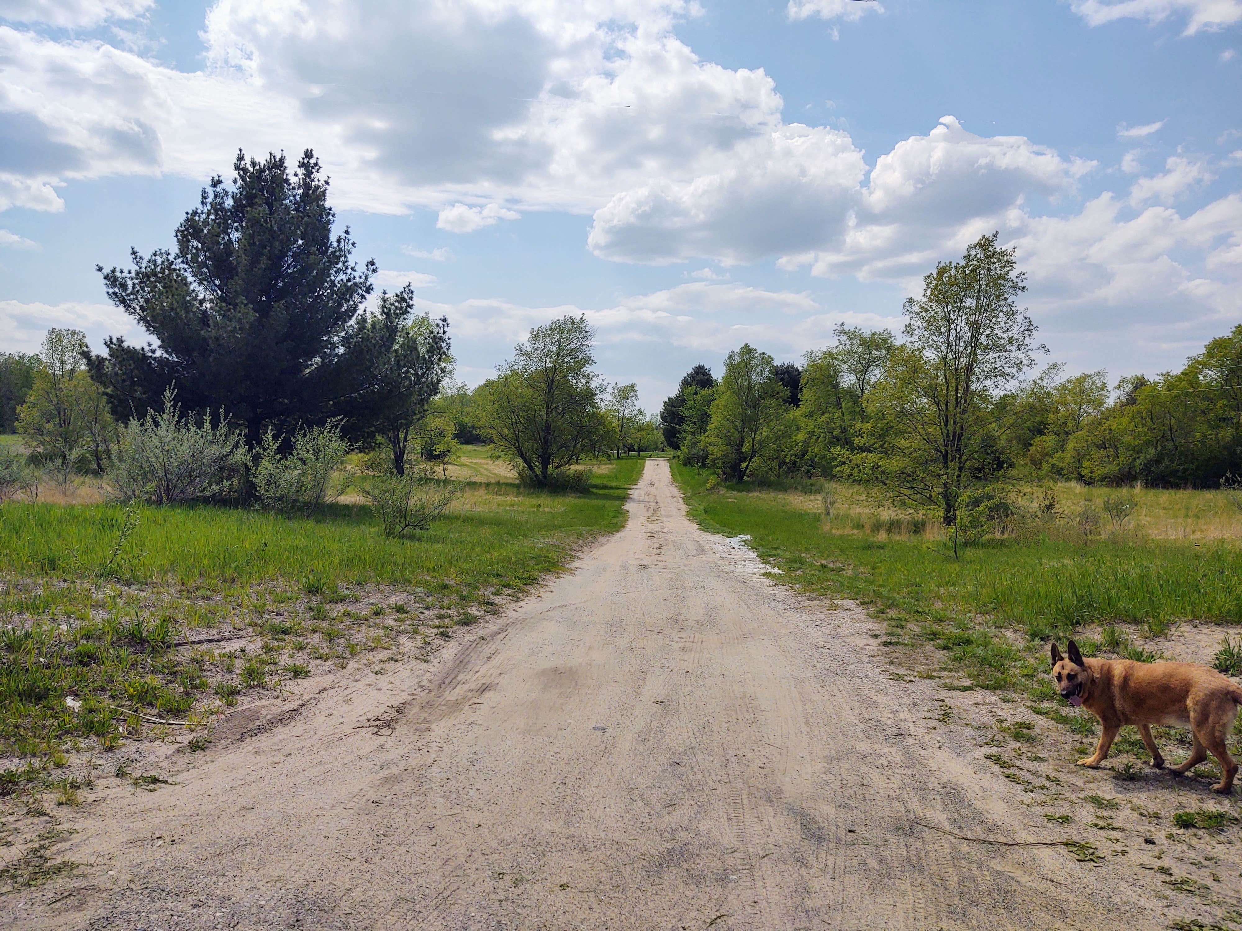 Jackie's photo of camping with pets at Offbeat Acres - Camp Chill AF! near Elmira, MI