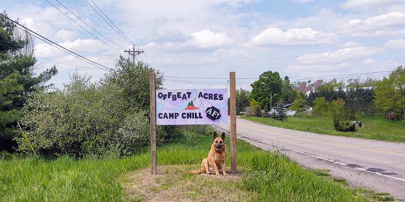 Camper submitted image from Offbeat Acres - Camp Chill AF!