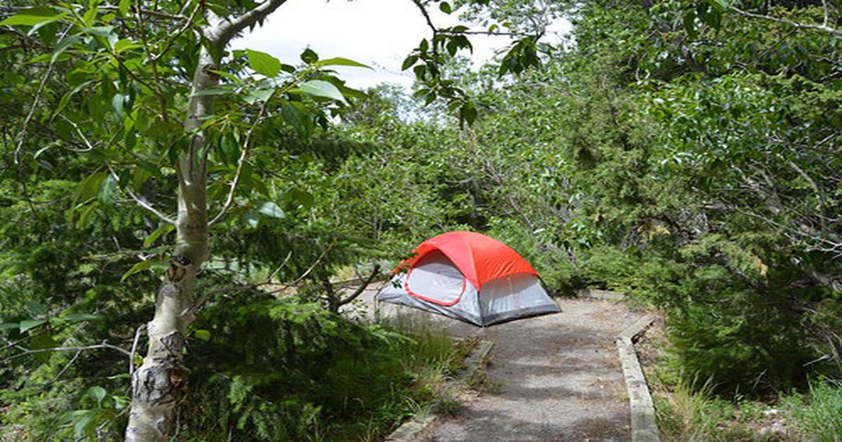 Five Springs Falls Campground | Lovell, Wyoming