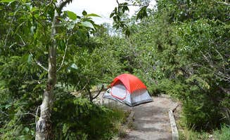 The Dyrt's photo at Five Springs Falls Campground near Fort Smith, MT