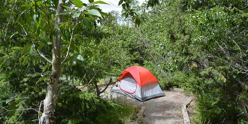 Camper submitted image from Five Springs Falls Campground
